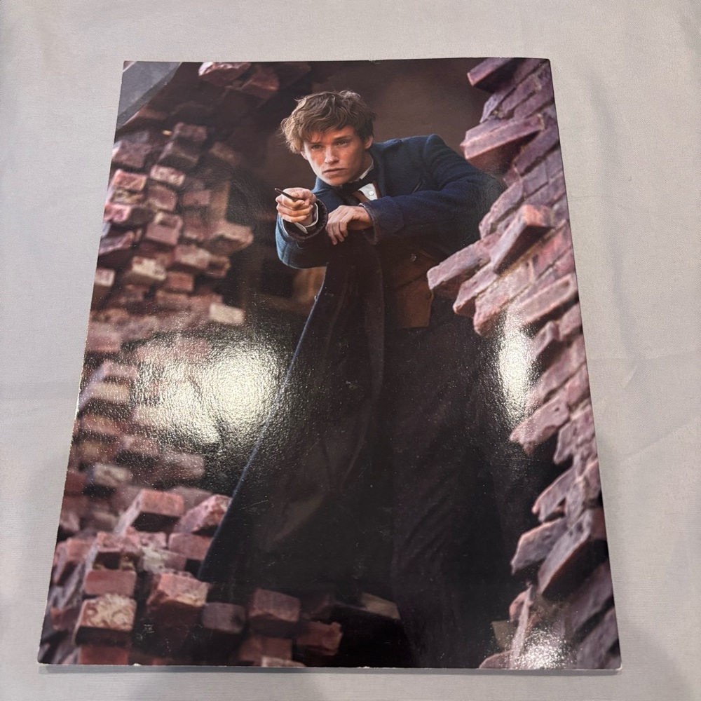 Fantastic Beasts And Where To Find Them Magazines 4 Pc 20 Years Magic - Picture 9 of 9